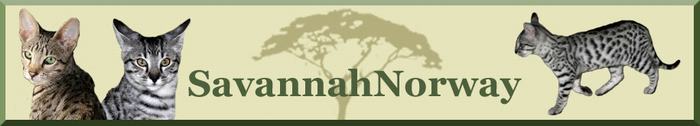 SavannahNorway banner